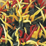 Chile Ornamental Med...