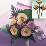 Col Ornamental Crane...